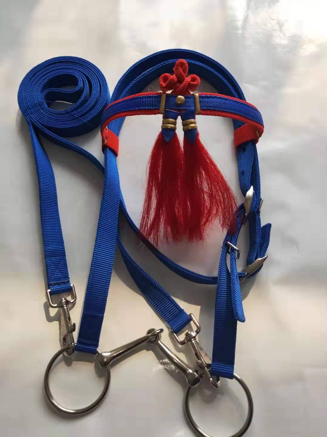 BLUE WATER IS 1 METRE 2 TO 1 METRE 4 HORSE, MEDIUM M CODE